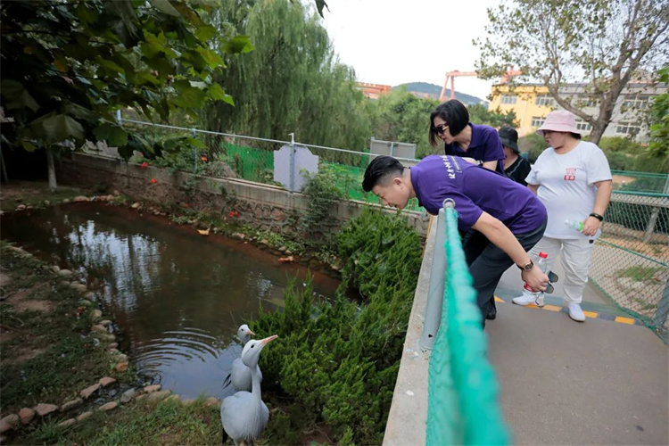 1697610463265502.jpg 82.jpg