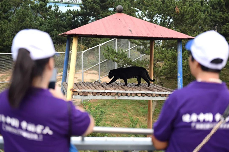 1697610488652139.jpg 84.jpg