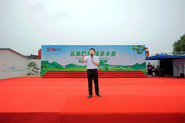 1697611444843059.jpg 115.jpg