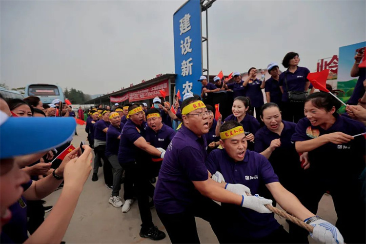 1697611741128017.jpg 129.jpg