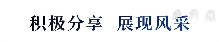 1731132457894251.jpg 38.jpg