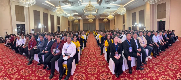 1745044564108809.jpg 7.jpg